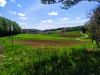 njiva-krajinska-fotografija